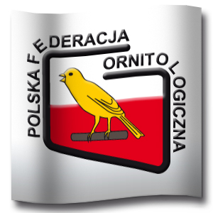 PFO flaga